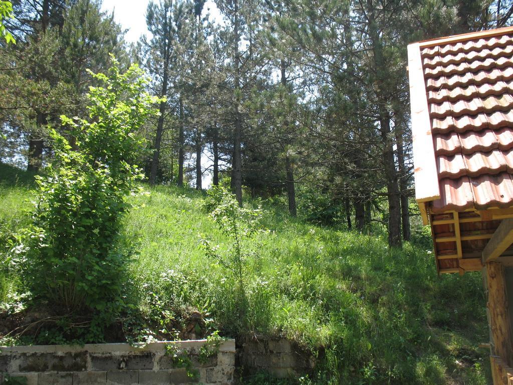 Holiday Home Lana Saborsko Pokoj fotografie